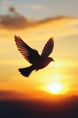 Sticker - Bird in flight at sunset