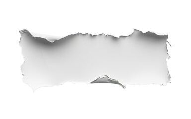 Wall Mural - torn paper with uneven edges, blank space