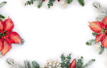 Wall Mural - christmas decoration. flowers of red pink poinsettia, branch christmas tree, berries mistletoe, red 
