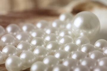 The beauty of white pearls in the shell, is an amazing combination of nature and elegance in every luster and shape