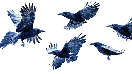 Poster - Flocks of Black Birds Flying Gracefully on a Transparent Background Generative AI