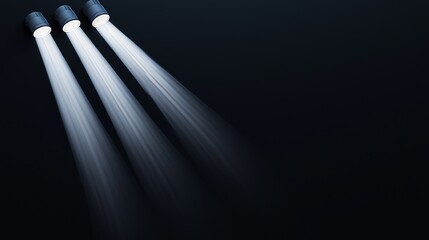 Wall Mural - abstract light rays in black on a white diagonal background.