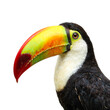 © GMeta - Vibrant toucan headshot with colorful beak and glossy feathers on white background