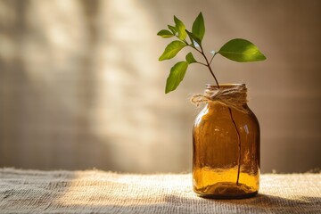 Poster - A single green sprig sits in a simple glass vase, touched by warm sunlight, representing growth, simplicity, and the purity of nature in a charming minimalist style.