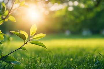 Poster - Bright, sunlit leaves capture the morning dew, glowing with fresh, vibrant green life, as daylight breaks, embodying growth, renewal, and the beauty of nature.