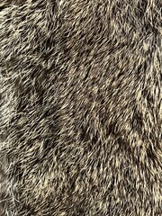 Wall Mural - close up texture of brown gray and white rabbit fur
