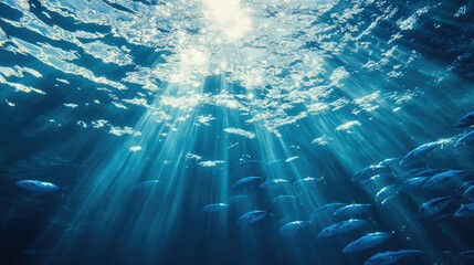 Sticker - Underwater Scene with Rays and Fish Swimming Below