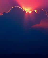 Wall Mural - sunbeam through the haze on pink sky, vertical