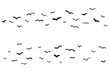 © DesignToonsy - Grunge brush birds flying in the sky. Ink grunge flock of birds drawn with markers and crayons set