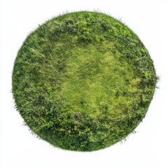 Front view of a circle of grass isolated on a clean white background