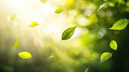 Poster - Fresh Green Leaves in Sunlight Background