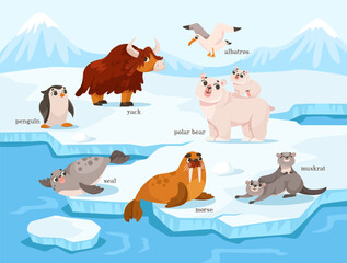 Wall Mural - polar animal and cold arctic fauna on ice plate vector illustration