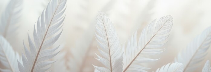 Poster - A close up of white feathers