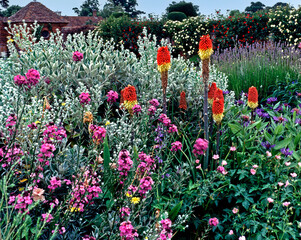 Wall Mural -  Flower Border in Country House Garden
