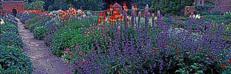 Wall Mural - Panoramic view of a Flower Border in Country House Garden