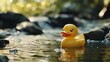 © pentolo - A yellow rubber duck floats in a babbling brook, surrounded by rocks and greenery.