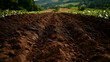 © Neural9 Project - Dark Brown Soil Texture Background: Rows of tilled earth show plant growth in a rural setting, illustrating agricultural preparation.