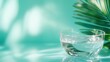 © Maximages  - A clear glass of water sits on a glossy surface, surrounded by tropical leaves with soft lighting, portraying freshness and a tropical ambiance.