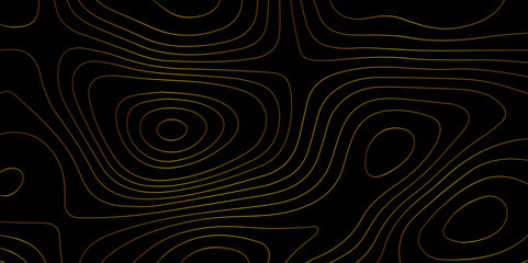 Wall Mural - abstract light pattern vector illustration. topographic map background concept. vibrant neon lights 