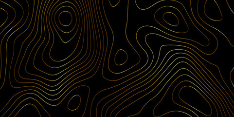 Wall Mural - abstract light pattern vector illustration. topographic map background concept. vibrant neon lights 