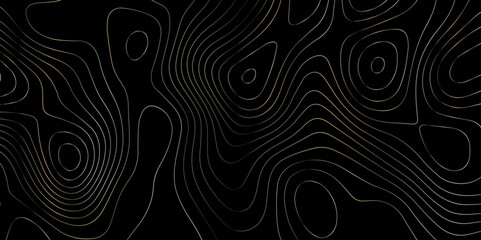 Wall Mural - abstract light pattern vector illustration. topographic map background concept. vibrant neon lights 