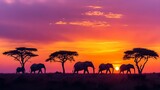 Majestic Elephants Silhouetted by Acacia Trees at Sunset, savannah, wildlife, nature, Africa