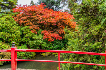 Poster - Kubota Gardens Colorful Leaves 2