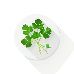 2D flat vector illustration cilantro icon isolated on a white background.

