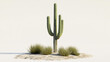© Daniel - Tall Saguaro Cactus in Desert Landscape with Grassy Plants