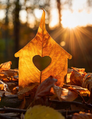 Wall Mural - Miniature leaf house with heart shape window. Sweet home concept. Family warmth, love and protection