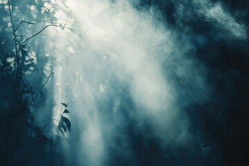 Poster - A serene scene of sunlight shining through tree branches in a dark forest