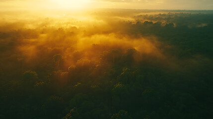 Aufkleber - Beautiful green Amazon forest landscape at sunset, Adventure, explore, air dron view, vibe