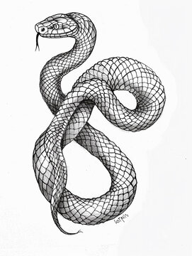 A simple beautiful black and white illustration of a snake used for coloring stencil AI Generated Image