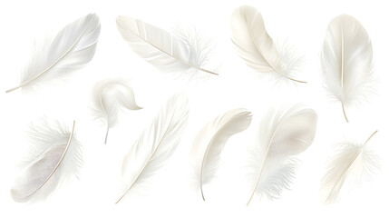 Poster - Vector white feathers collection, set of different falling fluffy twirled feathers, isolated on white background, Realistic style, vector 3d illustration