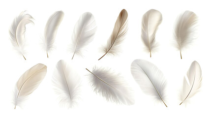 Aufkleber - Vector white feathers collection, set of different falling fluffy twirled feathers, isolated on white background, Realistic style, vector 3d illustration