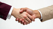 © Melissa - Two people giving a business handshake