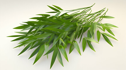Wall Mural - a bunch of green leafy branches against a white background.