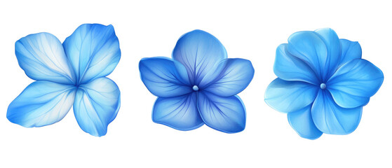 Wall Mural - A collection of three stylized blue flowers with varying shapes and shades, showcasing artistic floral design.