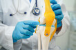 © manassanant - Knee osteoarthritis, Doctor showing model knee joint orthopedic.