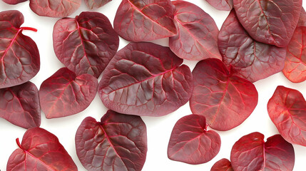 Wall Mural - a collection of red heart-shaped leaves arranged in a pattern against a white background.