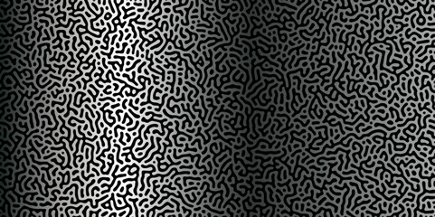 Poster - abstract reaction-diffusion turing pattern natural texture silber gradient color scheme. linear desi