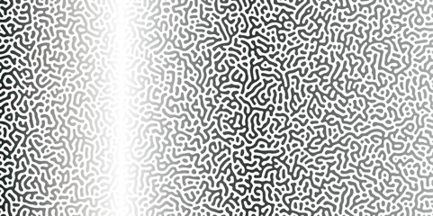 Poster - abstract reaction-diffusion turing pattern natural texture silber gradient color scheme. linear desi
