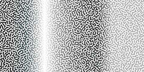 Poster - abstract reaction-diffusion turing pattern natural texture silber gradient color scheme. linear desi