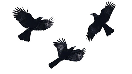 Poster - group of flying black birds against a transparent background generative ai