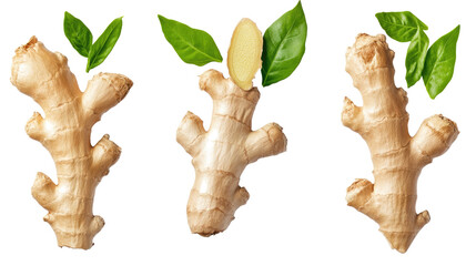 Poster - Ginger Roots With Green Leaves on Clear Background Generative AI