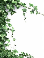 Poster - PNG Christmas line horizontal border backgrounds plant tree.