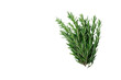 © nddcenter - Fresh rosemary sprig with vibrant green leaves, perfect for culinary use and garnishing dishes. Its aromatic scent enhances flavors in cooking