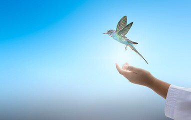 Wall Mural - hummingbird flying over human hand on sky background with copy space