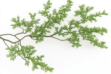 Wall Mural - Minimalist 3D Render of Green Tree Branches for Design and Decoration