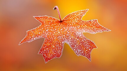 Poster - a natural macro shot of a dew-covered leaf in sharp focus, with water droplets glistening in the ear